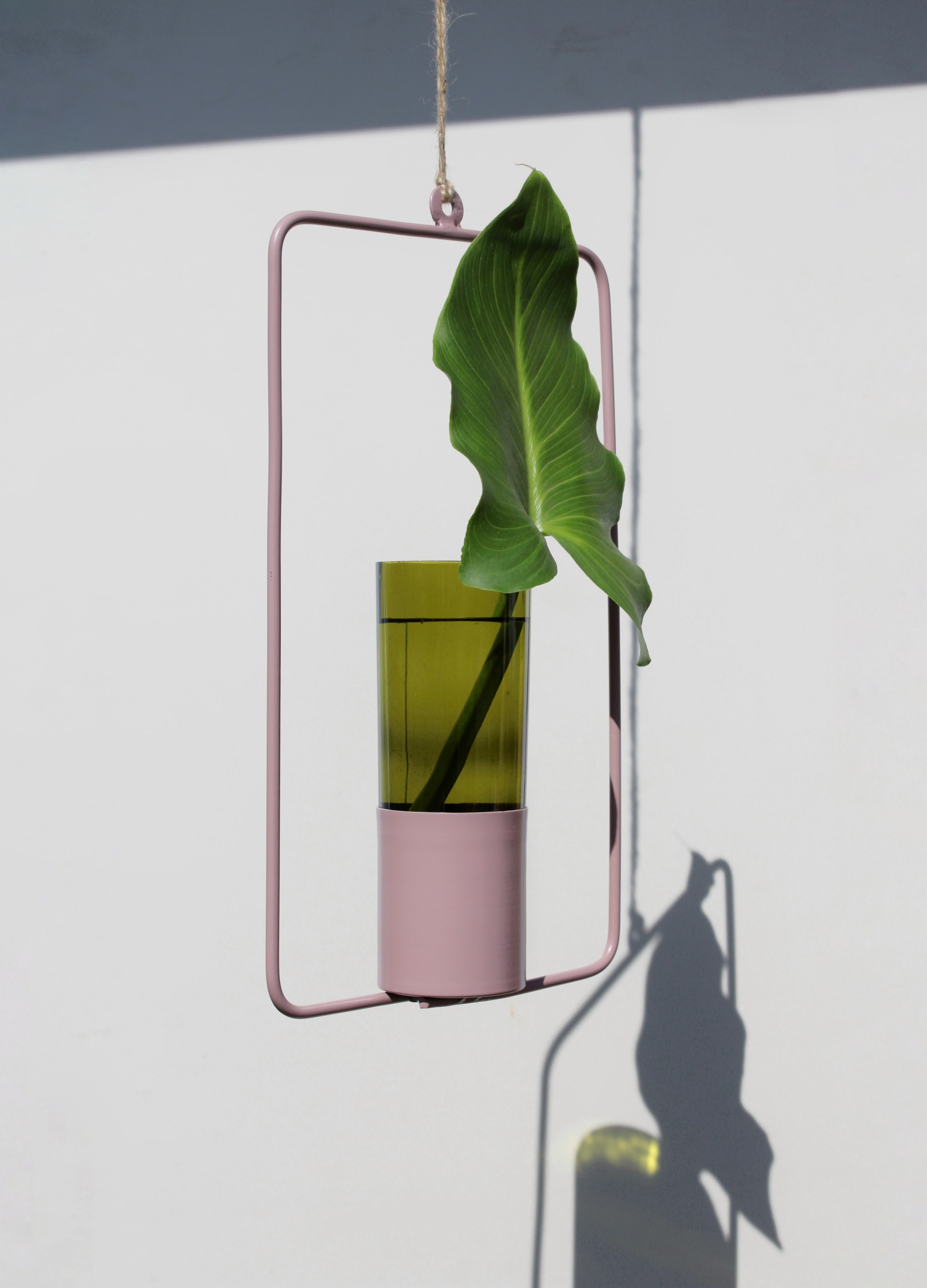 Imagen decorativa