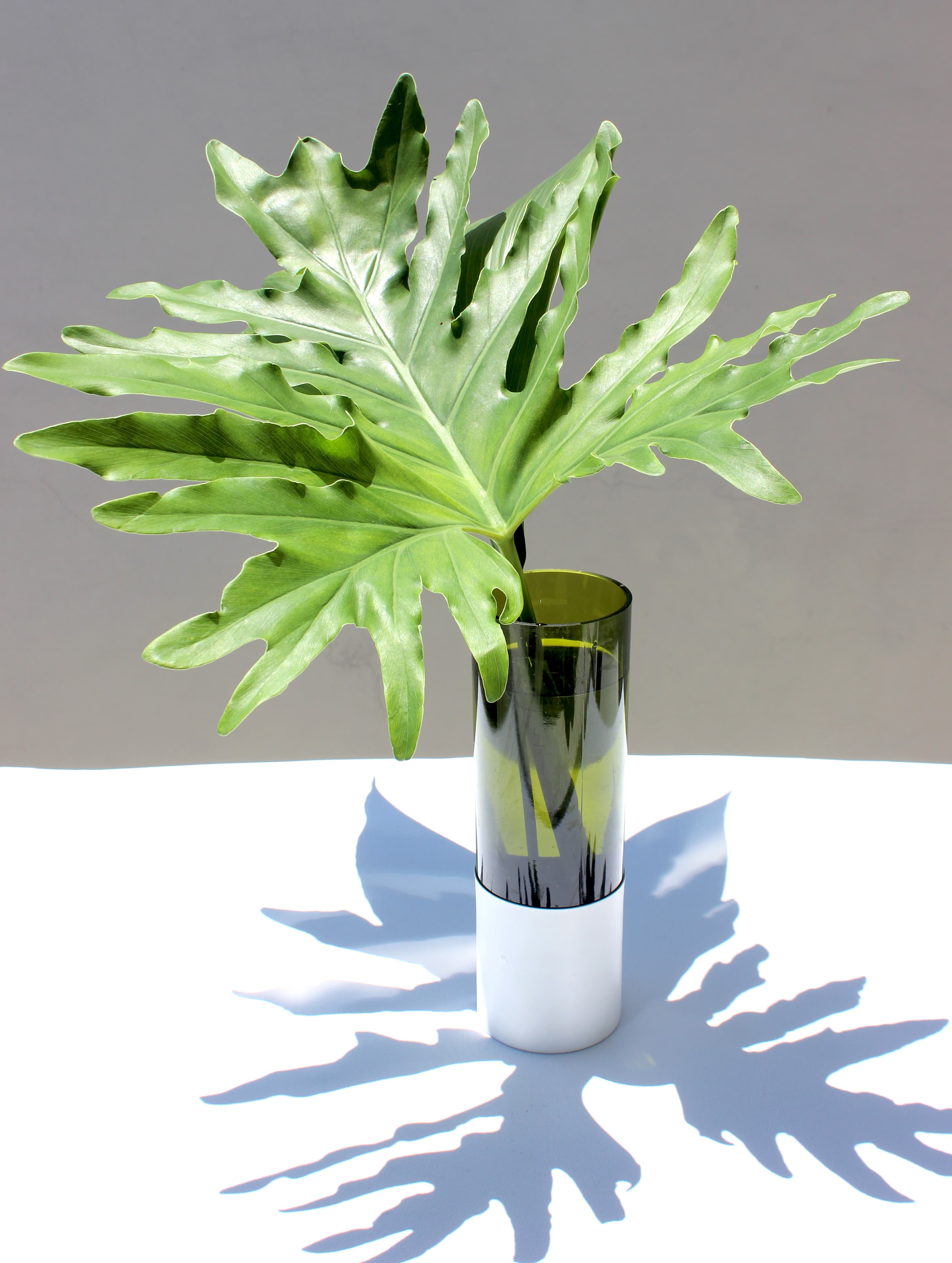 Florero Betty — registro 1